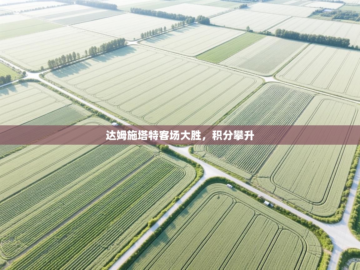 达姆施塔特客场大胜，积分攀升  第1张