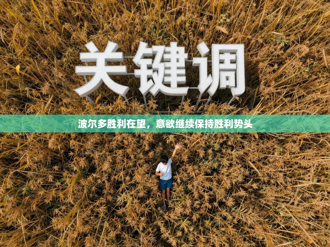 波尔多胜利在望，意欲继续保持胜利势头  第2张